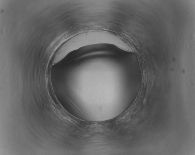 X0000073730290200608241304