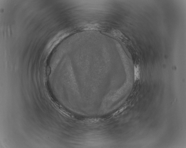 X0000073730291200608241304