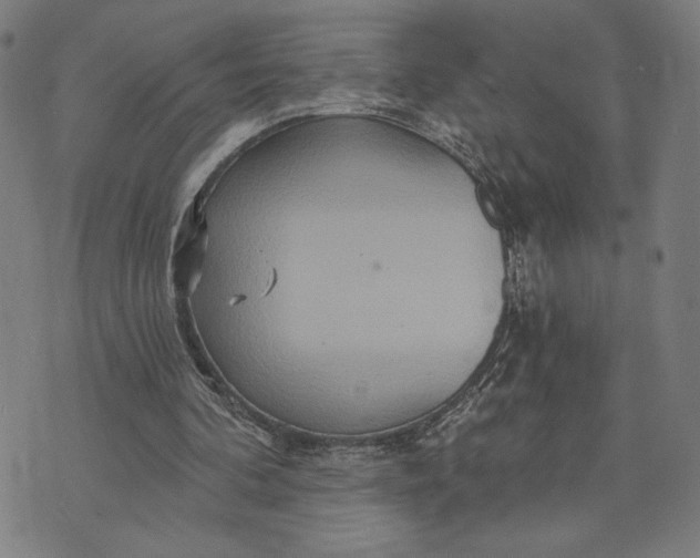 X0000073730292200608241304