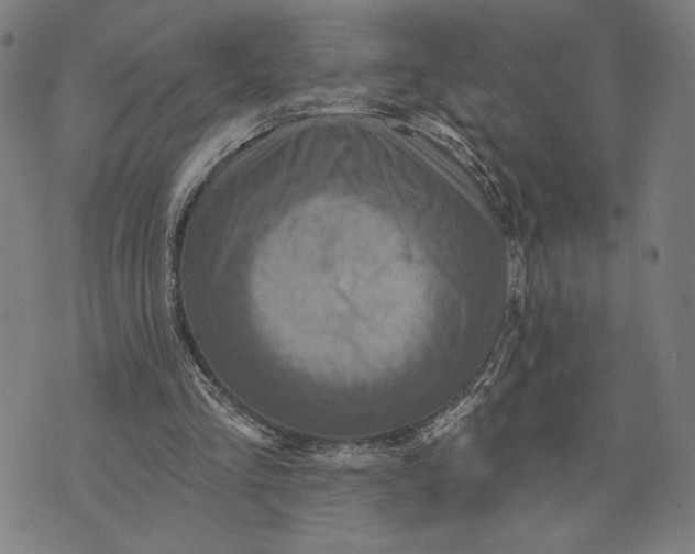 X0000073730293200608241304