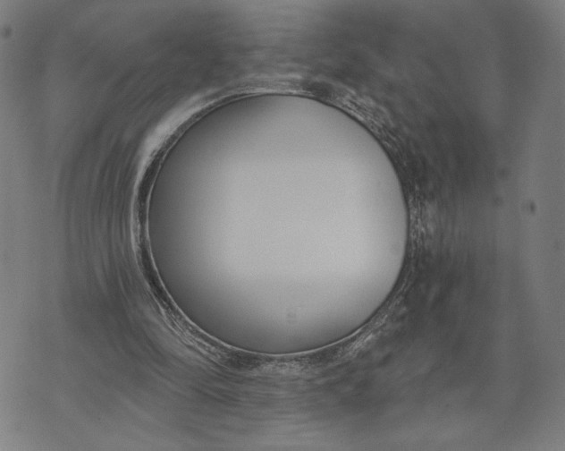 X0000073730294200608241304