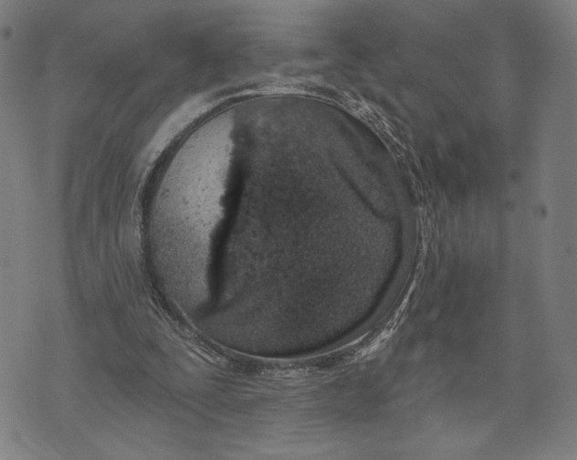 X0000073730295200608241304