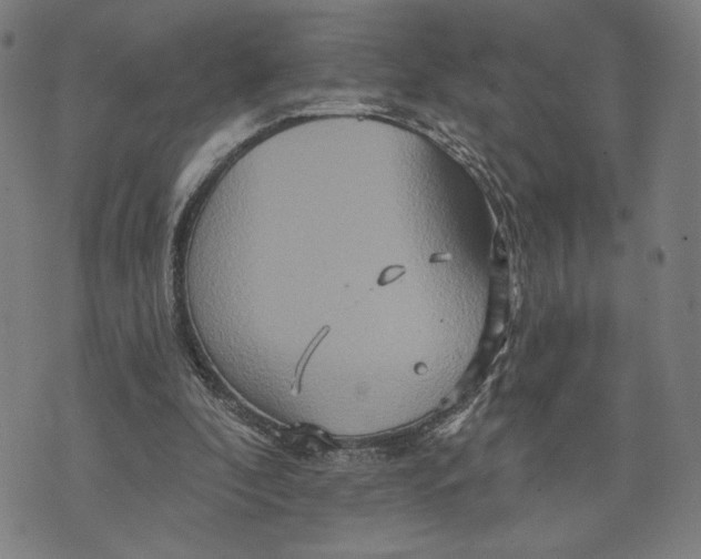 X0000073730296200608241304