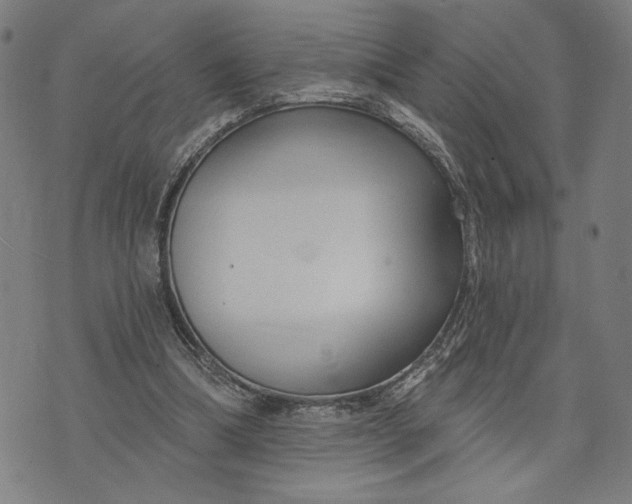 X0000073730298200608241304