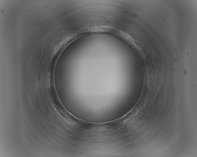 X0000073730299200608241304