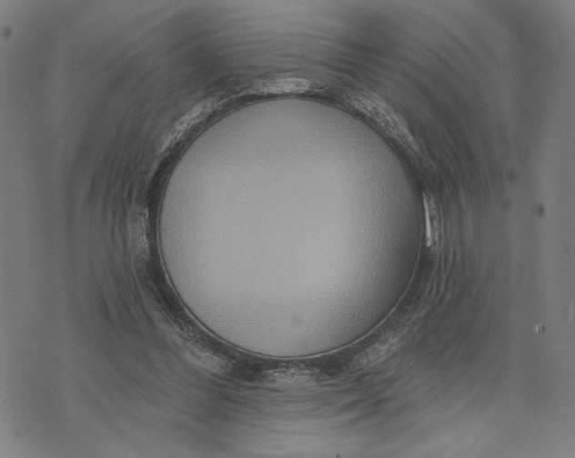 X0000073730300200608241304