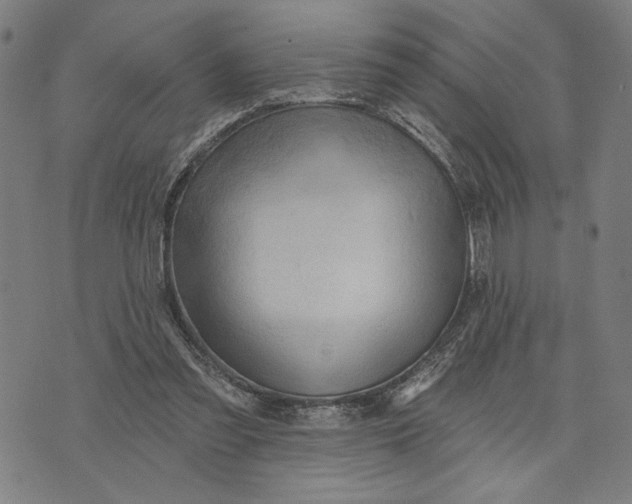 X0000073730301200608241304