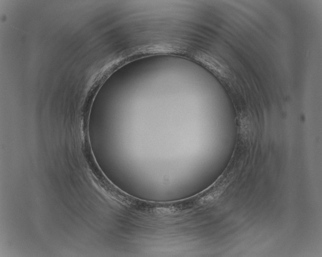 X0000073730302200608241304