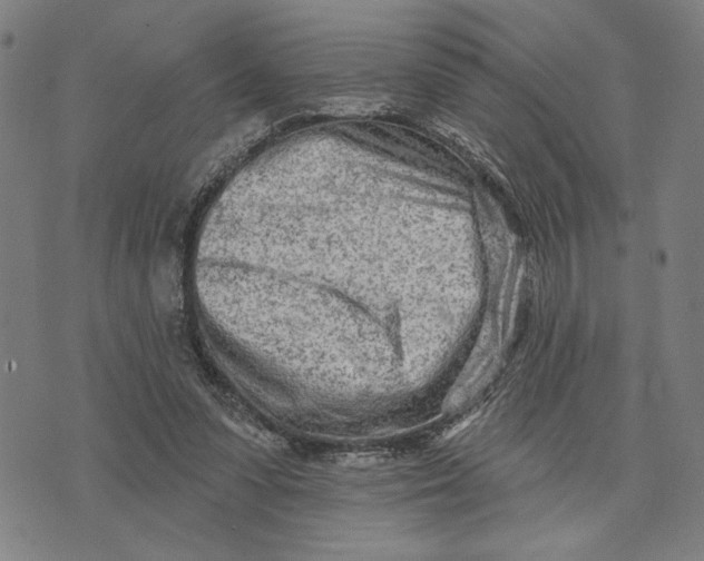 X0000073730303200608241303