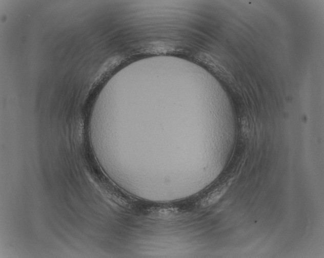 X0000073730304200608241303