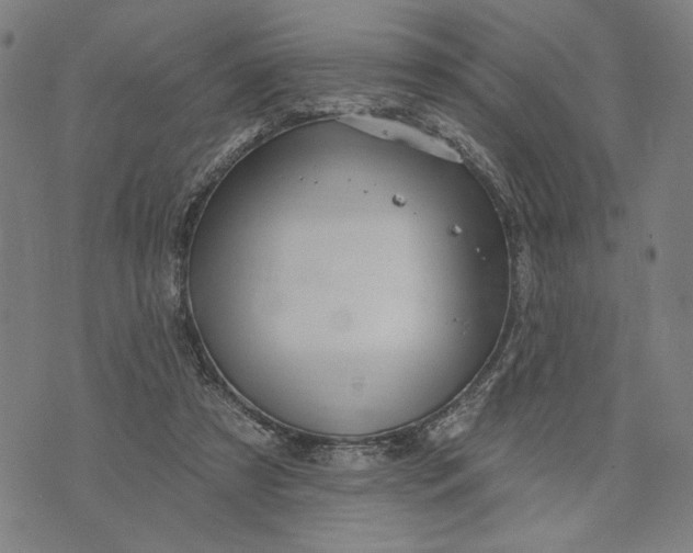 X0000073730305200608241303