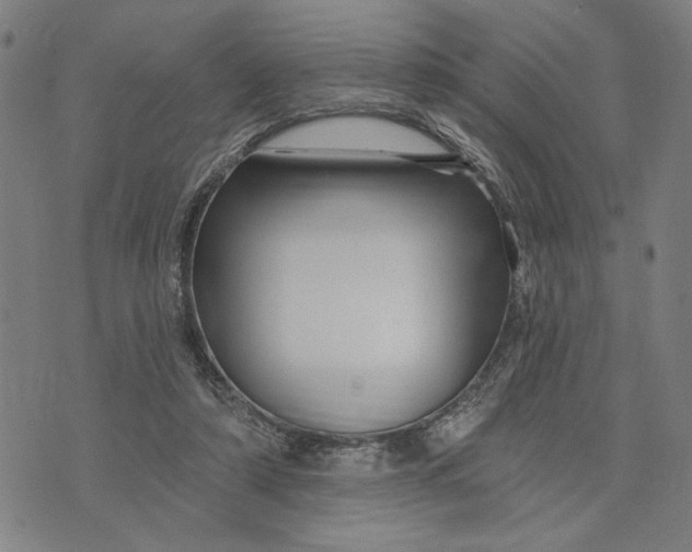 X0000073730306200608241303