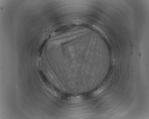 X0000073730307200608241303