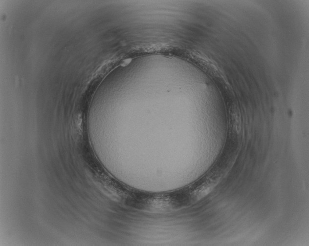 X0000073730308200608241303