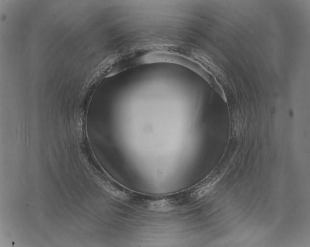 X0000073730309200608241303