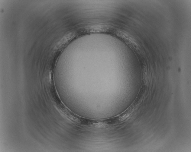 X0000073730310200608241303