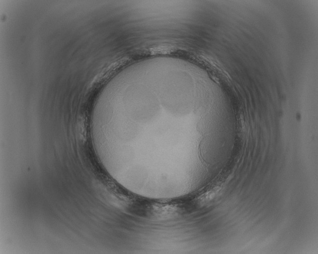 X0000073730311200608241303