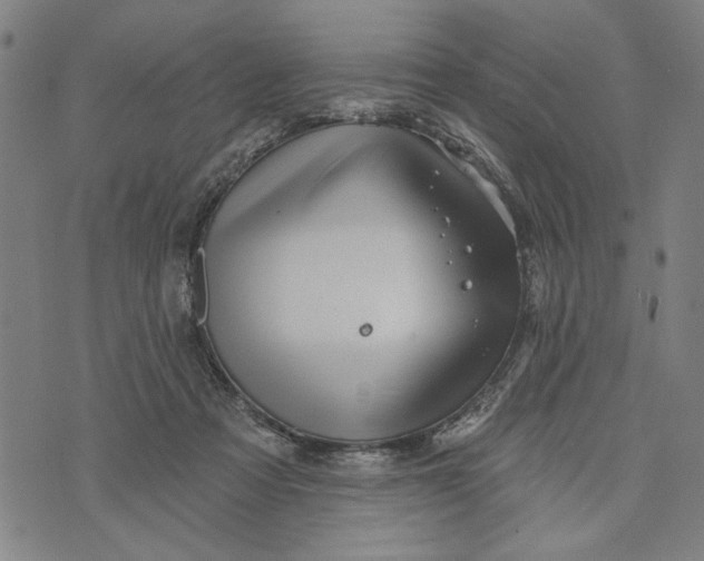 X0000073730313200608241303