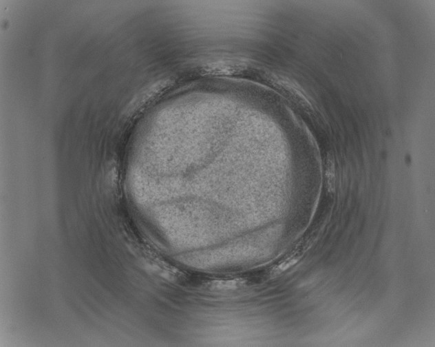 X0000073730314200608241303