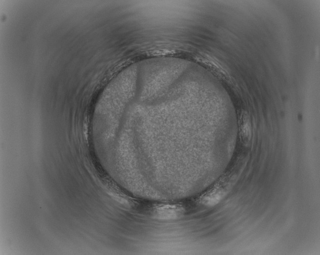 X0000073730315200608241303