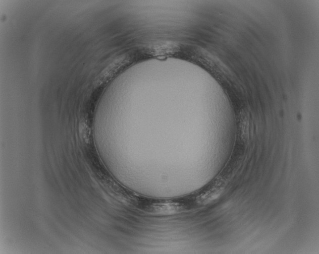 X0000073730316200608241303