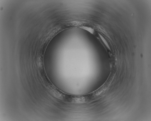 X0000073730317200608241303