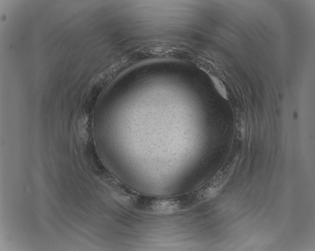 X0000073730319200608241303