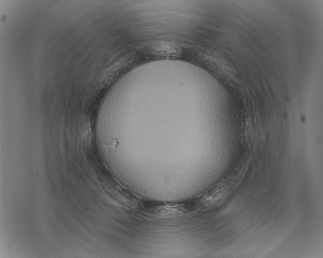 X0000073730320200608241303