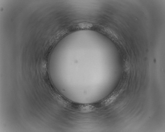 X0000073730321200608241303