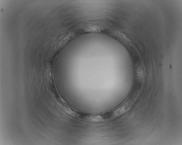 X0000073730322200608241303