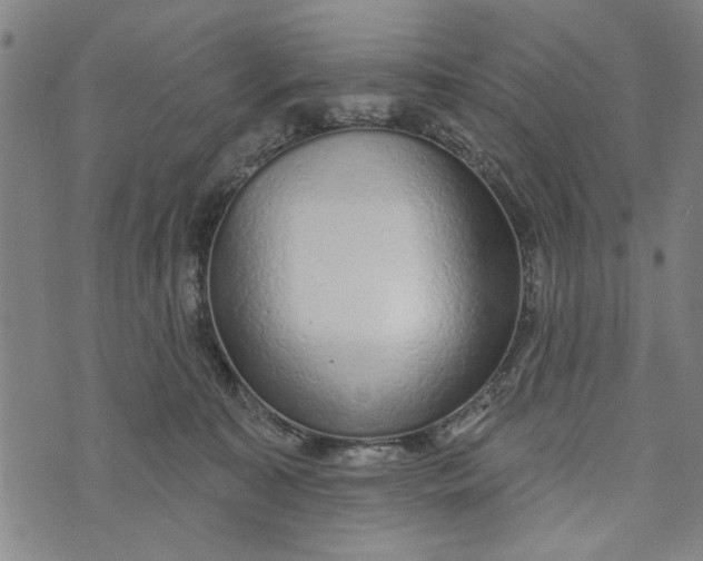 X0000073730323200608241303