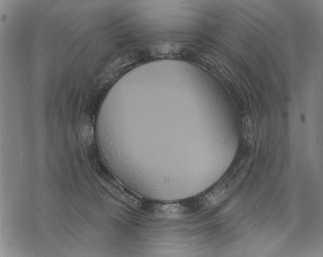 X0000073730324200608241303