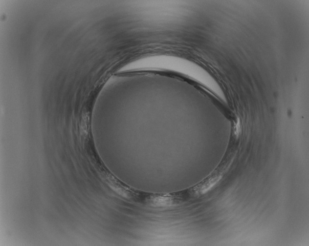 X0000073730325200608241303