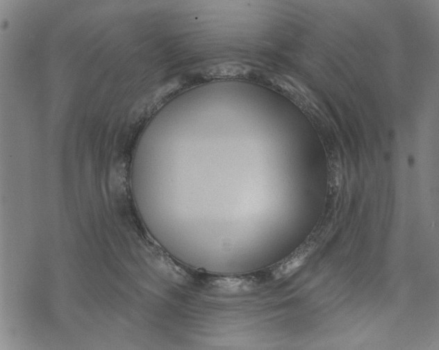 X0000073730326200608241303