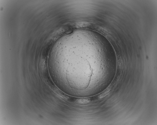 X0000073730327200608241303