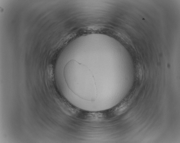 X0000073730328200608241303