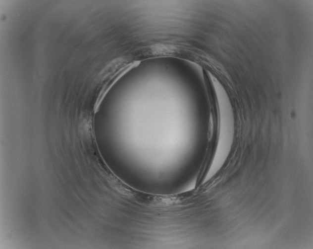 X0000073730329200608241303