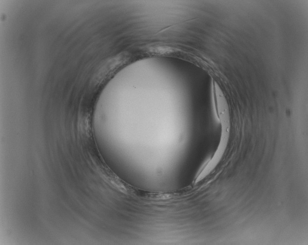 X0000073730330200608241303