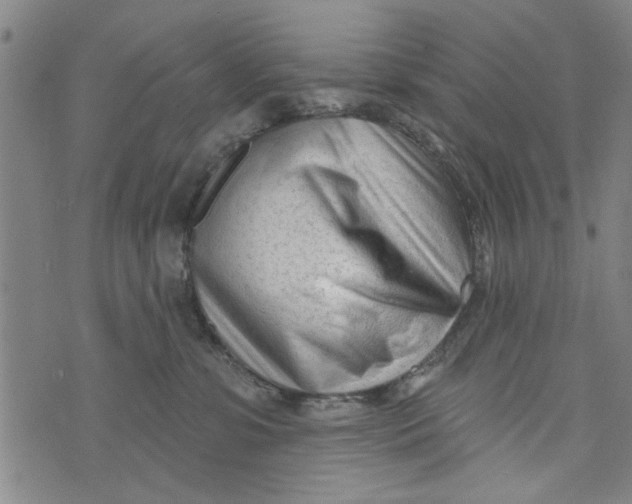 X0000073730331200608241303