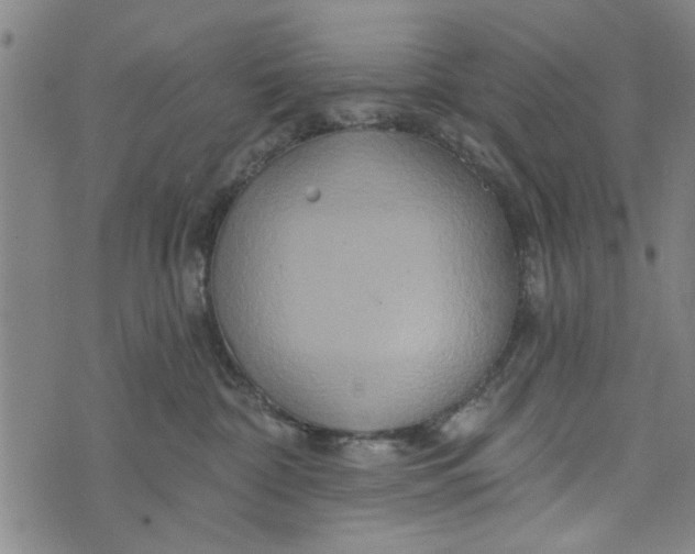 X0000073730332200608241303