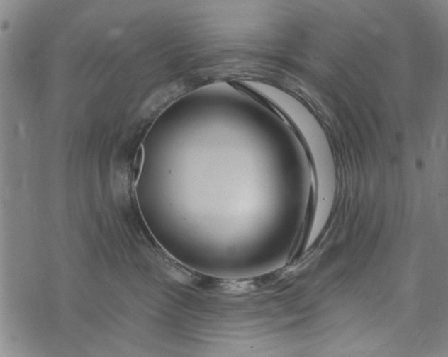 X0000073730333200608241303