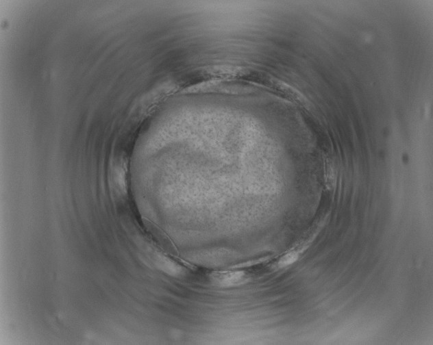 X0000073730334200608241303