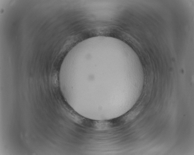 X0000073730336200608241303