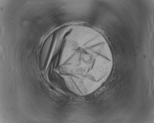 X0000073730337200608241302