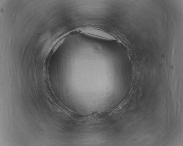 X0000073730338200608241302