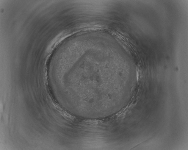 X0000073730339200608241302