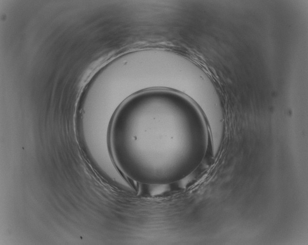 X0000073730340200608241302