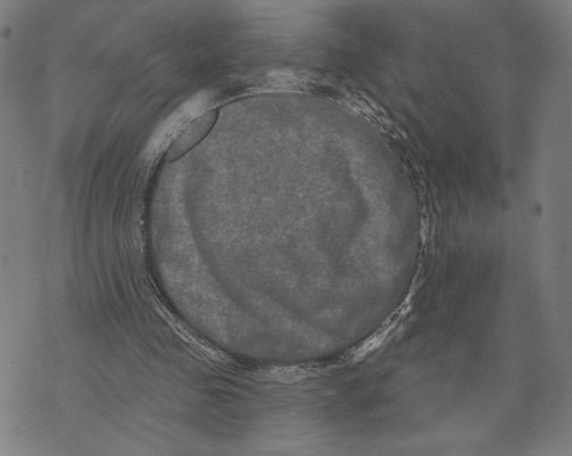 X0000073730341200608241302