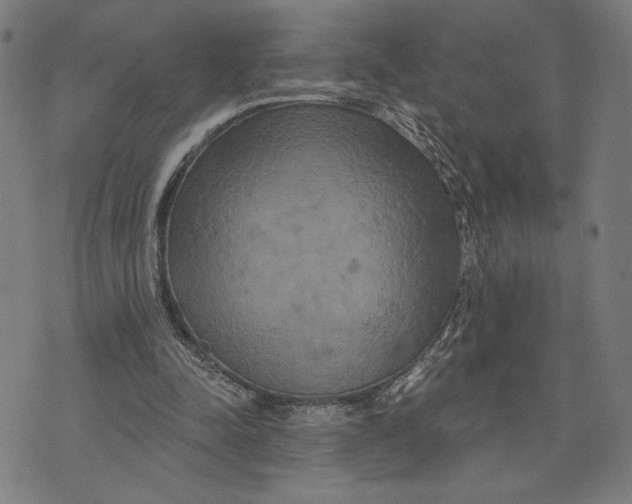 X0000073730342200608241302