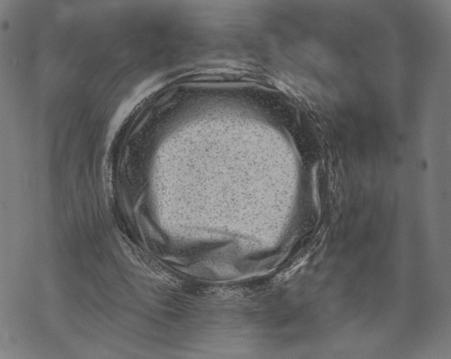 X0000073730343200608241302